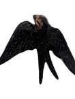 Medium Swallow, , medium