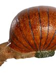 Giant Snail, , medium