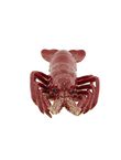 LOBSTER, , medium