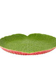 Large Centerpiece, , medium