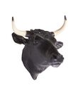 Bull Head, , medium