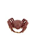 Spider Crab, , medium