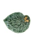 Leaf Begonia with Butterfly, , medium