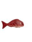 Red Porgy, , medium