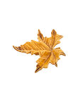 Small Sycamore Leaf, Yellow, medium