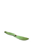 Cactus, , medium