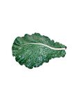 Giant Cabbage Leaf, , medium