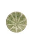 Fruit Plate, , medium
