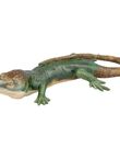 Large Lizard, , medium